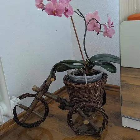 Апартаменты Wohlfuehloase 80 Qm Max 6 Pers