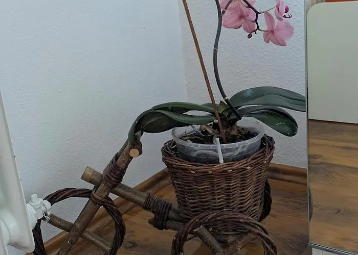 Appartement Wohlfuehloase 80 Qm Max 6 Pers